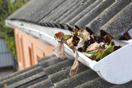 Gutter Cleaning & Brightening